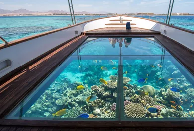 Port Ghalib Semi-Submarine & Coral Garden Cruise