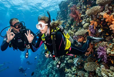 PADI Open Water Diver Full Certification Course (18m)